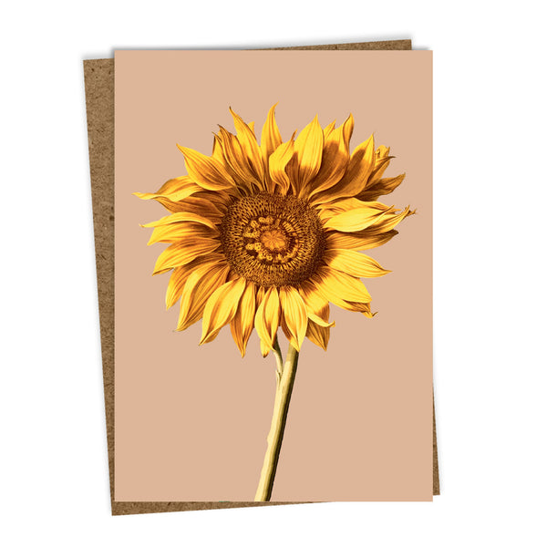 Atvirukas Sunflower 10.5x14.8