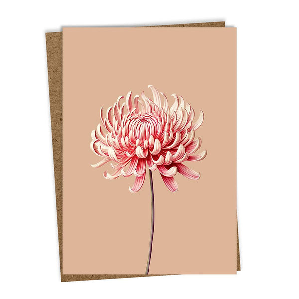 Atvirukas Chrysanthemum  10.5x14.8