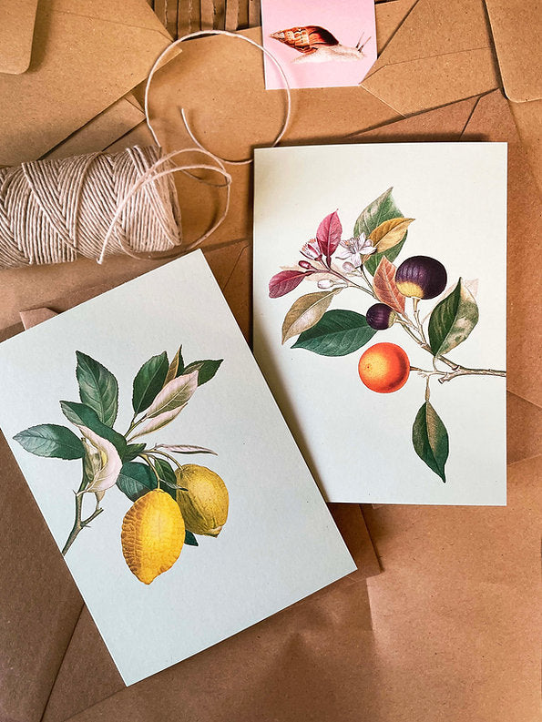 Atvirukas Hang Over 10.5x14.8