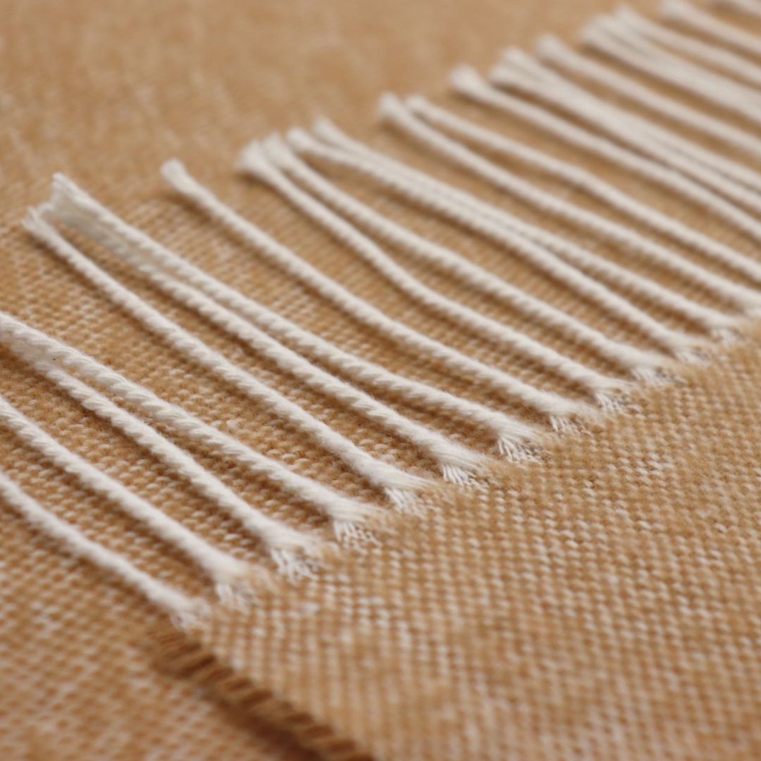 Pledas STRUCTURE camel