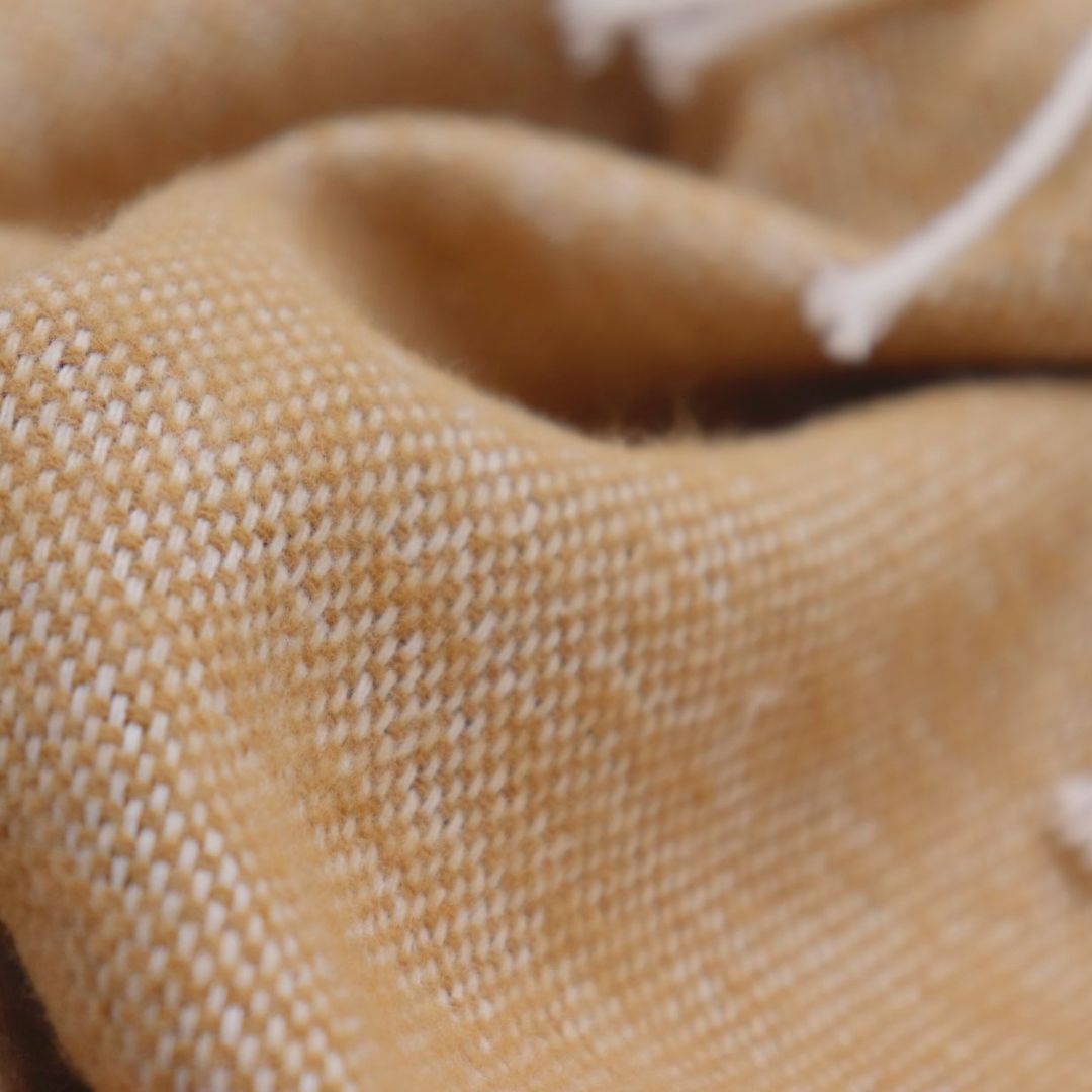 Pledas STRUCTURE camel