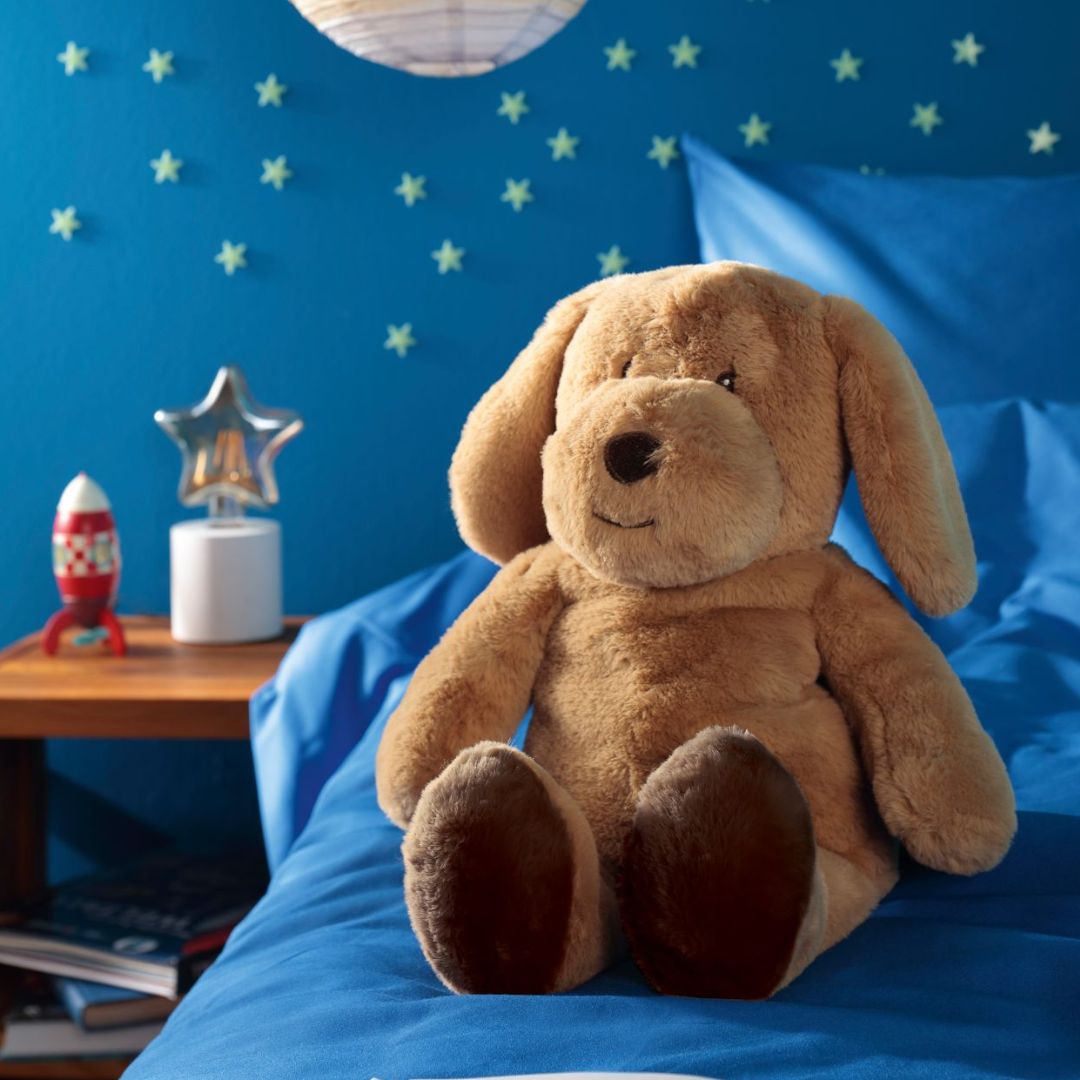 Žaislas su pledu viduje MAX